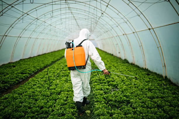 Best Pest Control for Restaurants  in Alachua, FL