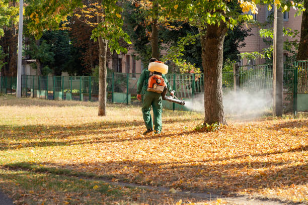 Pest Control for Restaurants in Alachua, FL